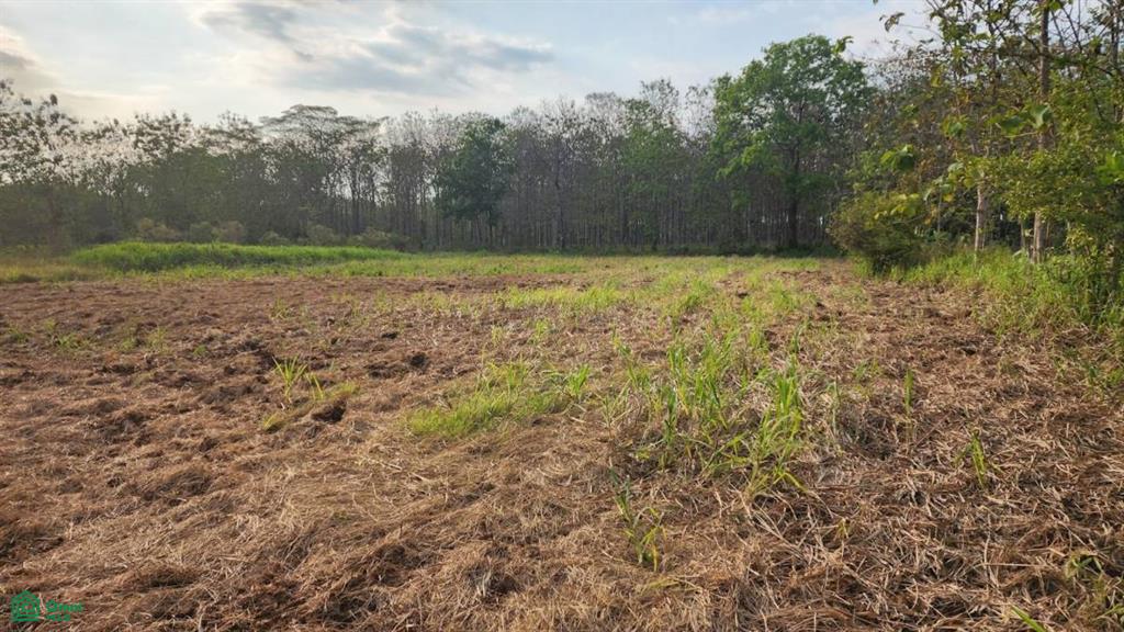 0 bed Land For Sale in Quepos, Puntarenas - 1
