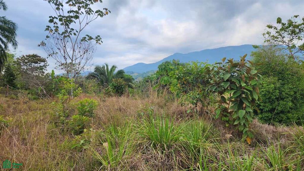 0 bed Land For Sale in , Puntarenas - 1
