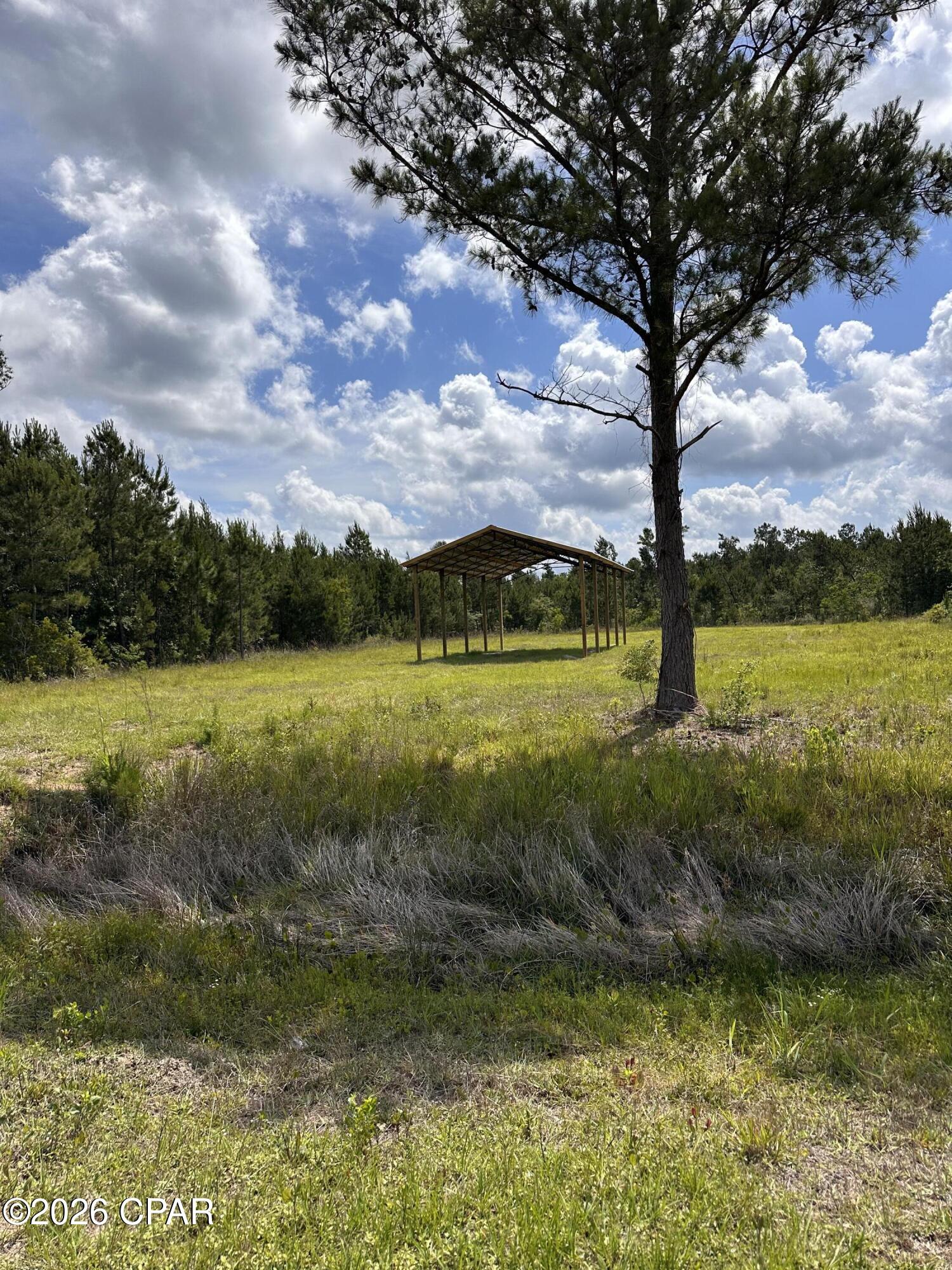 4th image of 252 Jarrot Daniels Rd, Wewahitchka, FL 32465 | MLS# 778811