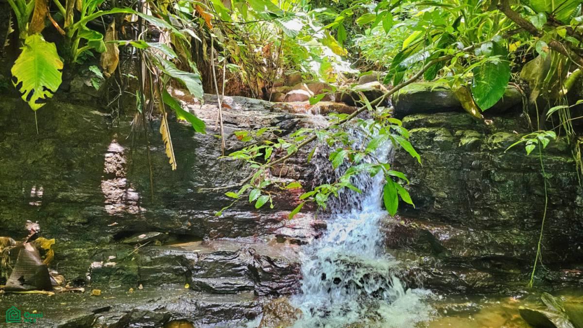 0 bed Land For Sale in Perez Zeledon, San Jose - 1