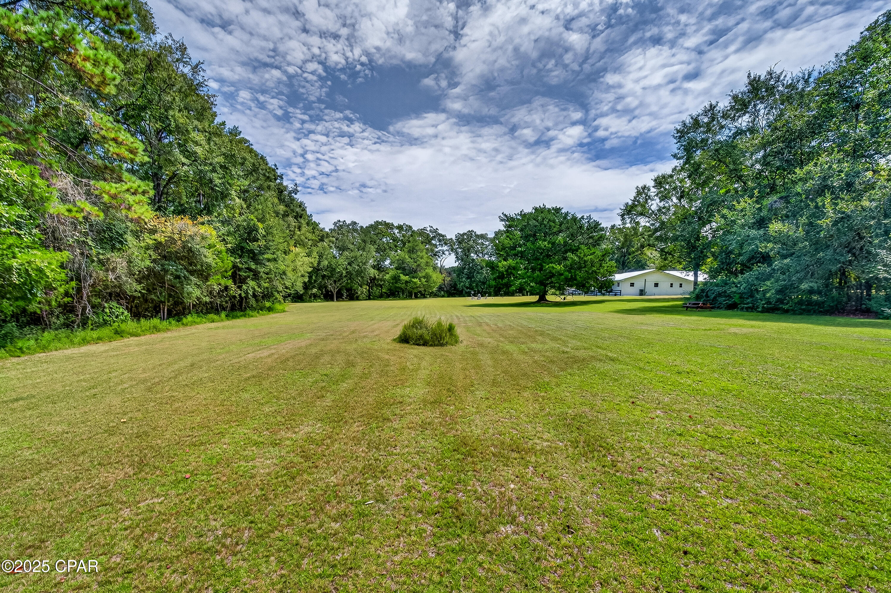 Image 52 For 1955 Highway 181