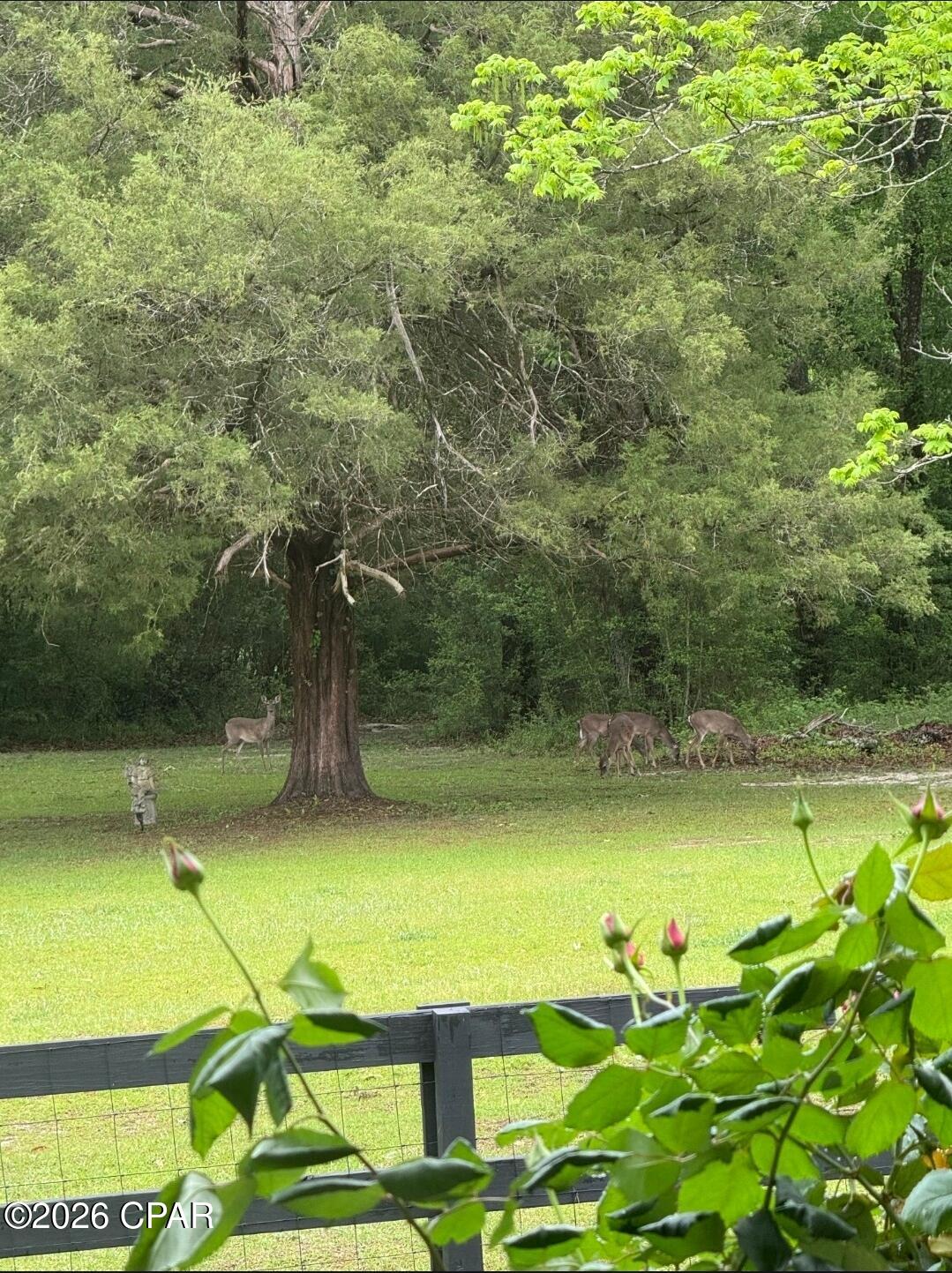 Image 61 For 1955 Highway 181