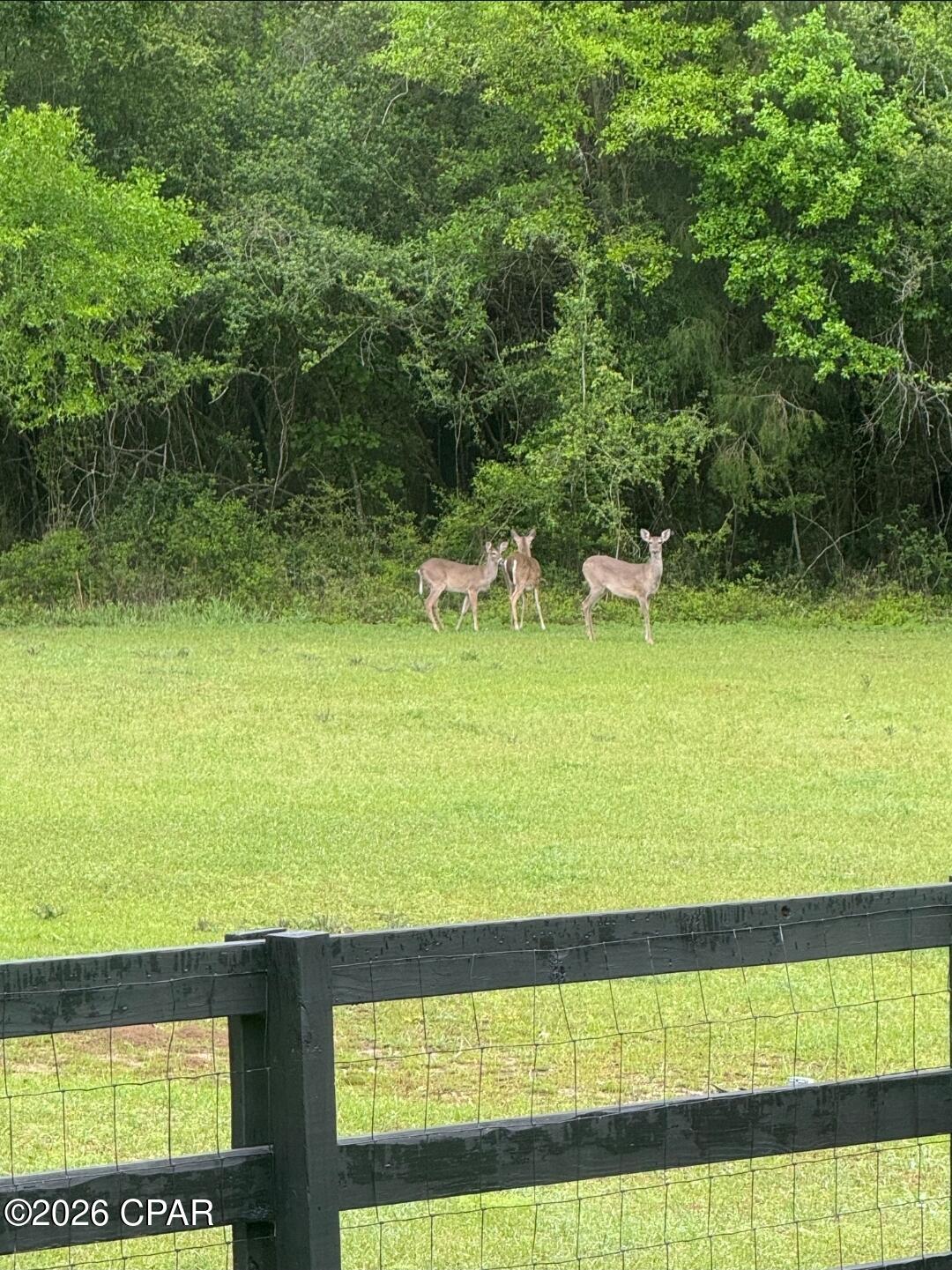 Image 62 For 1955 Highway 181