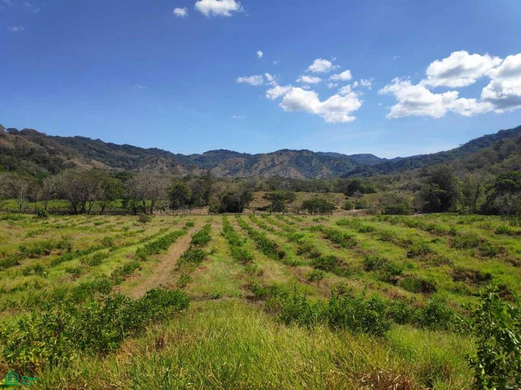 0 bed Land For Sale in Puntarenas, Puntarenas - 1