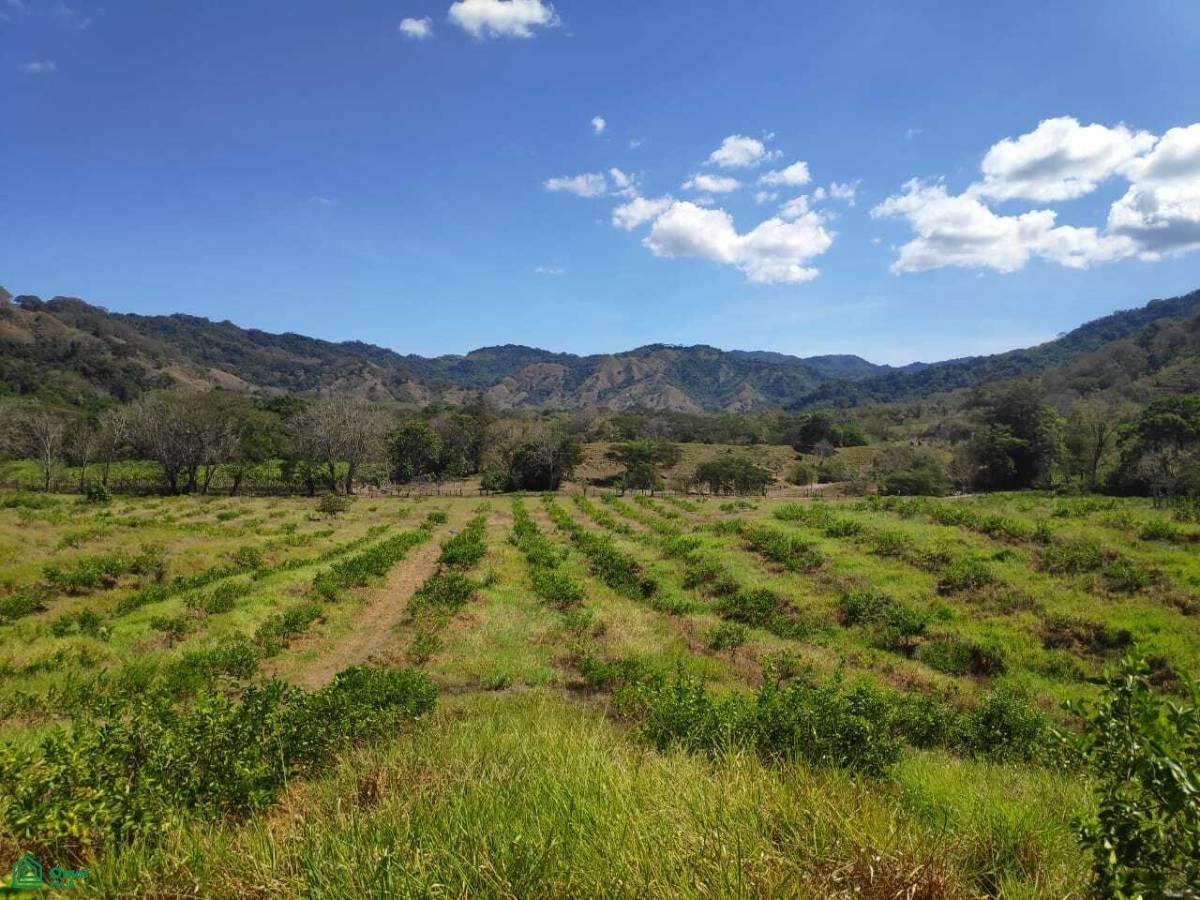 0 bed Land For Sale in Puntarenas, Puntarenas - 1