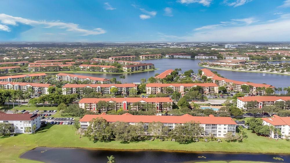 Cambridge At Century