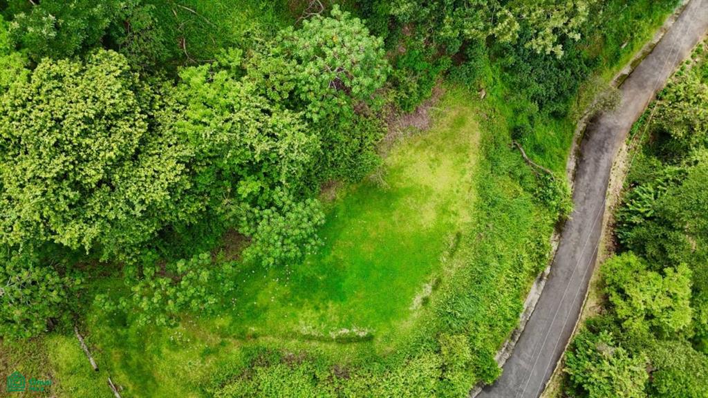 0 bed Land For Sale in Atenas, Alajuela - 1