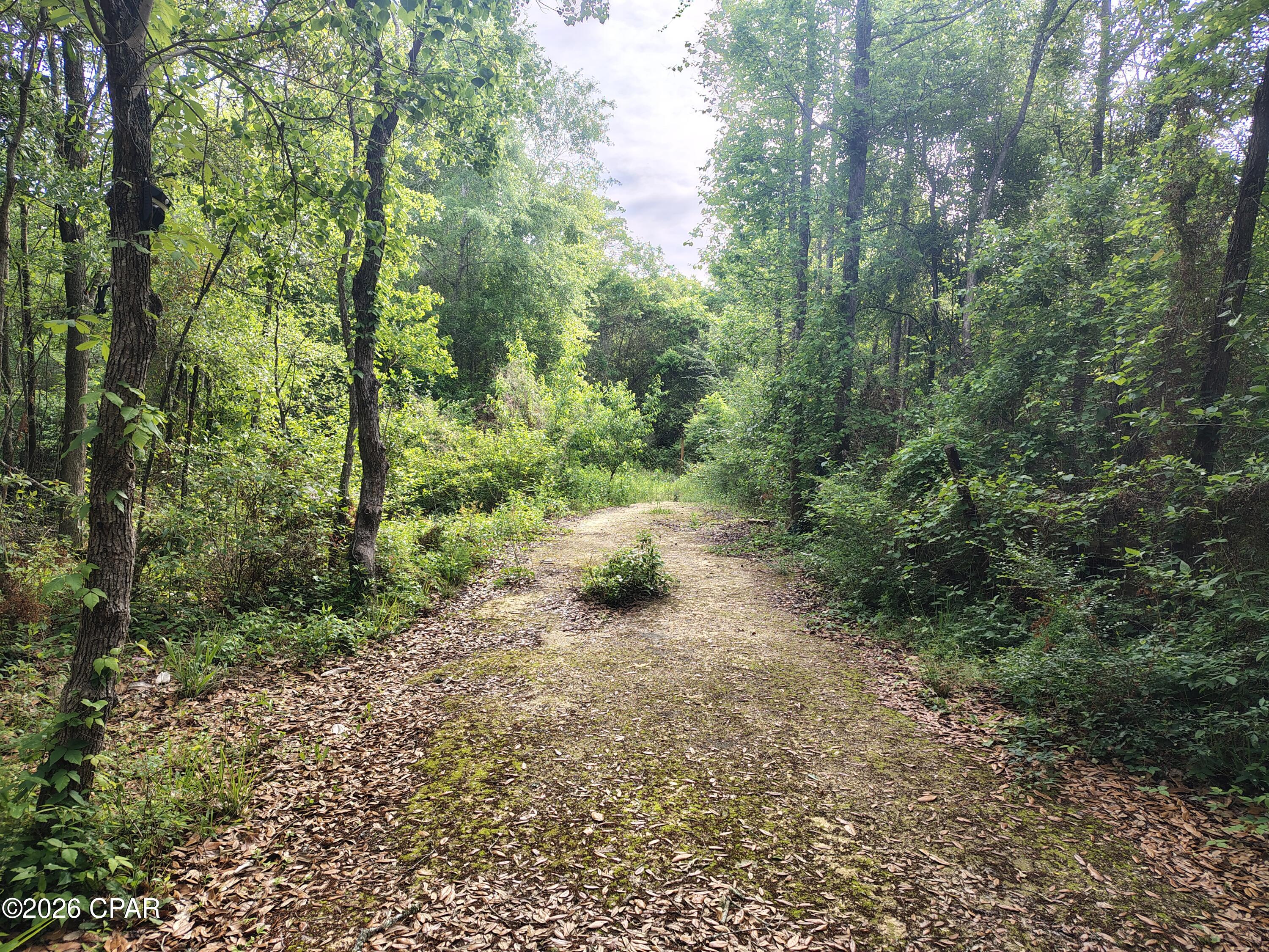 Details for 1414 Highway 2, Graceville, FL 32440