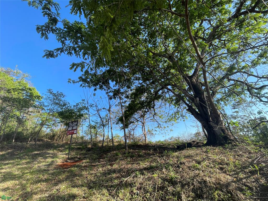 0 bed Land For Sale in Santa Cruz, Guanacaste - 1