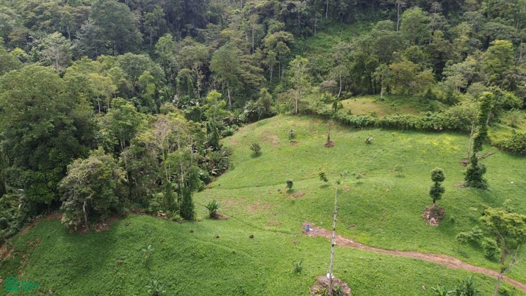 0 bed Land For Sale in Turrialba, Cartago - 1