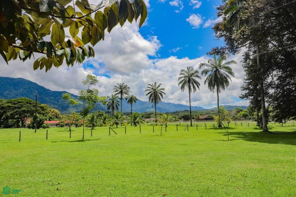 0 bed Land For Sale in Palmar, Puntarenas - 1