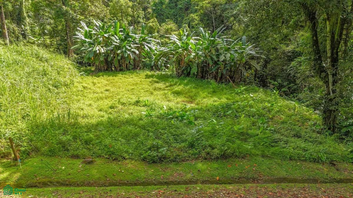 0 bed Land For Sale in Osa, Puntarenas - 1