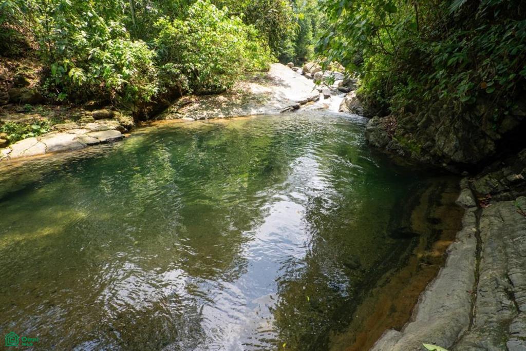 0 bed Land For Sale in Osa, Puntarenas - 1