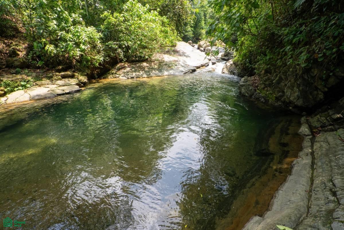 0 bed Land For Sale in Osa, Puntarenas - 1