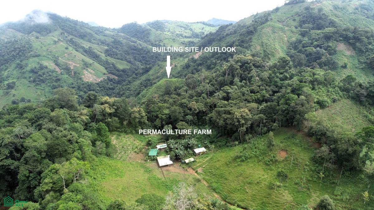 1 bed Land For Sale in Puntarenas, Puntarenas - 1
