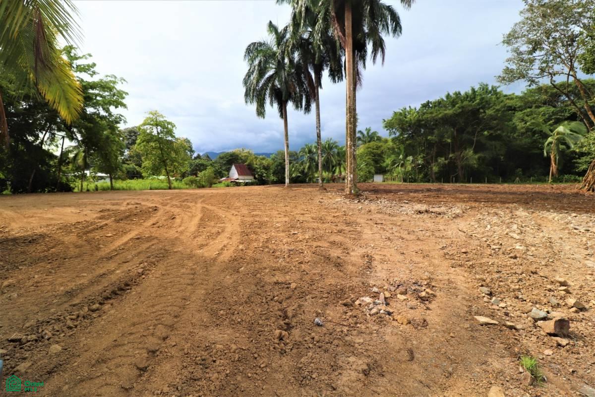 Bahia 60504, Bahía Ballena, Osa, Puntarenas