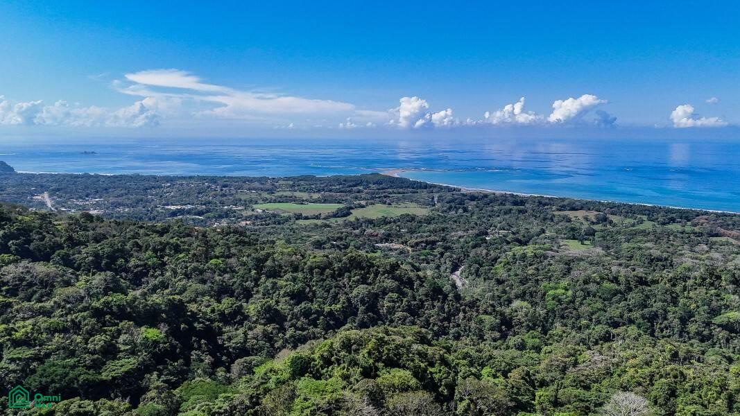 0 bed Land For Sale in Osa, Puntarenas - 1