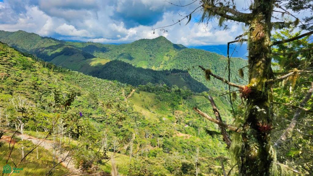 0 bed Land For Sale in Perez Zeledon, San Jose - 1
