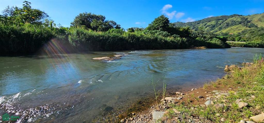 0 bed Land For Sale in Perez Zeledon, San Jose - 1