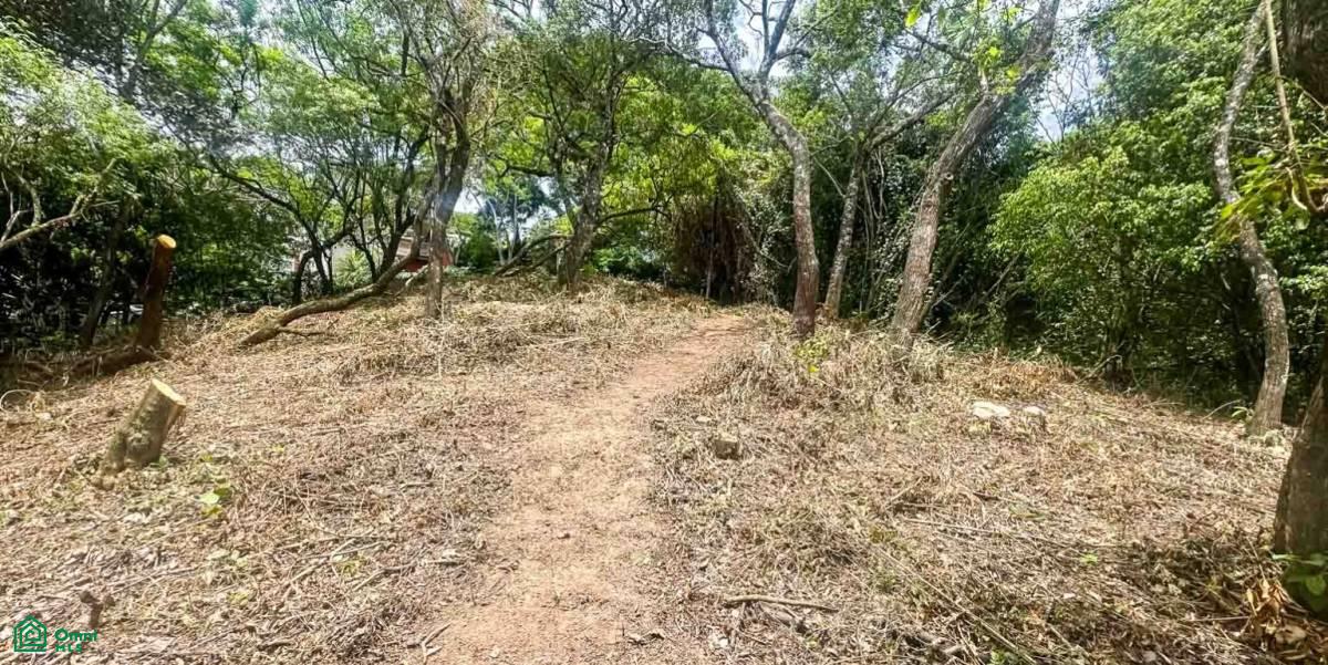 Property at Brasil