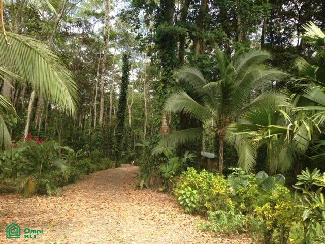 0 bed Land For Sale in , Limon - 1