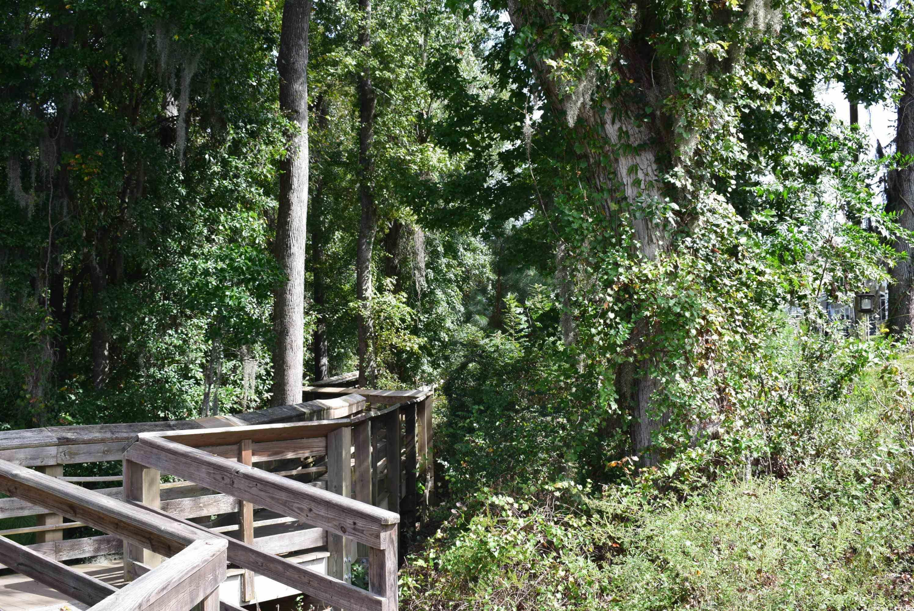 2524793 | Photo 34