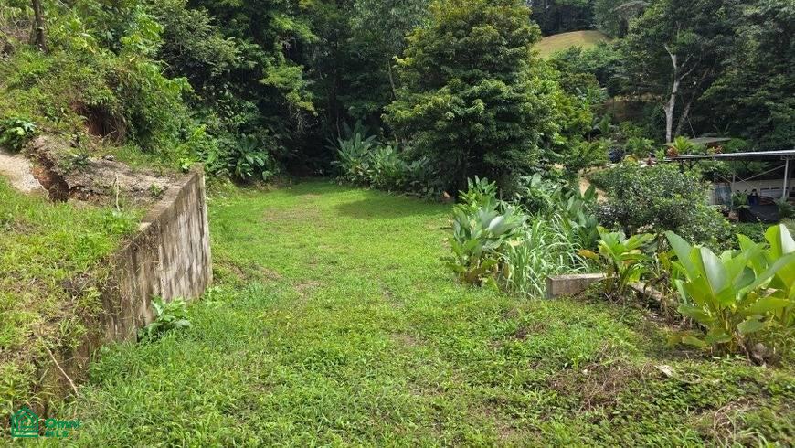 0 bed Land For Sale in Osa, Puntarenas - 1