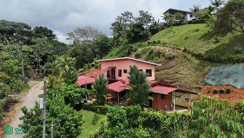 10 bed Single Family Homes For Sale in Osa, Puntarenas - 1
