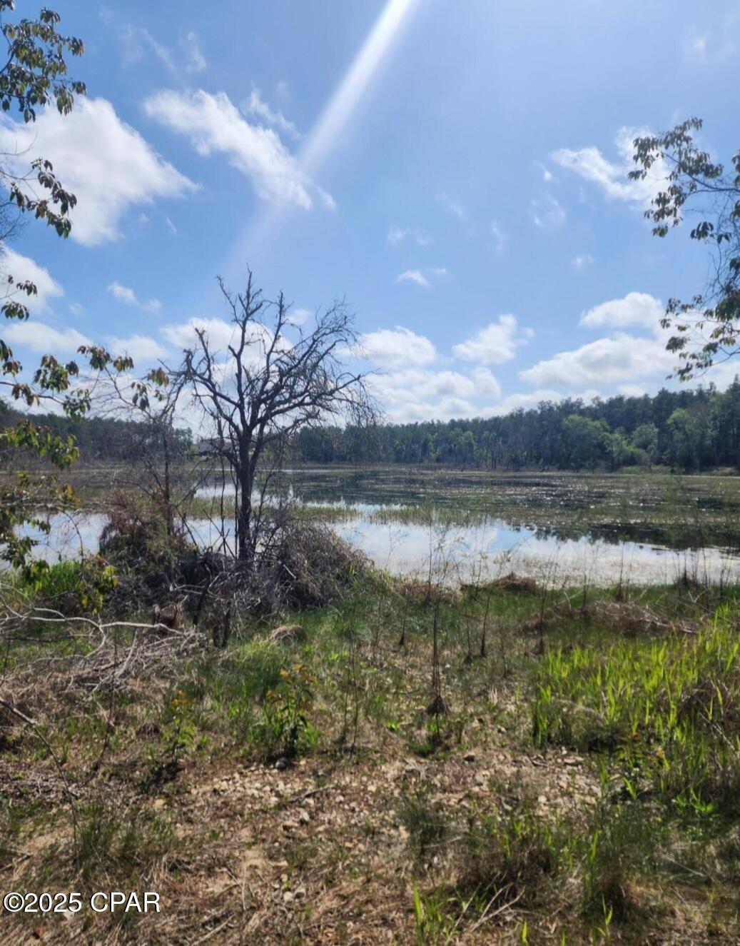 16th image of 6405 Hwy 77, Chipley, FL 32428 | MLS# 780287