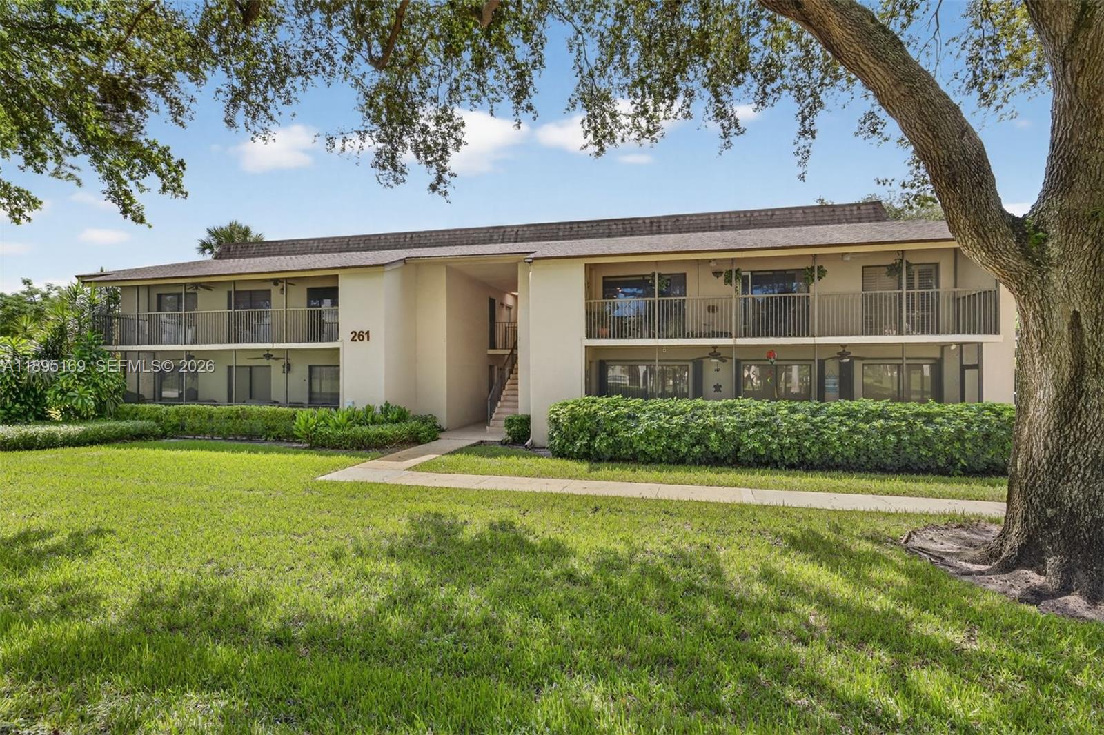 Hidden Woods Of Deer Creek