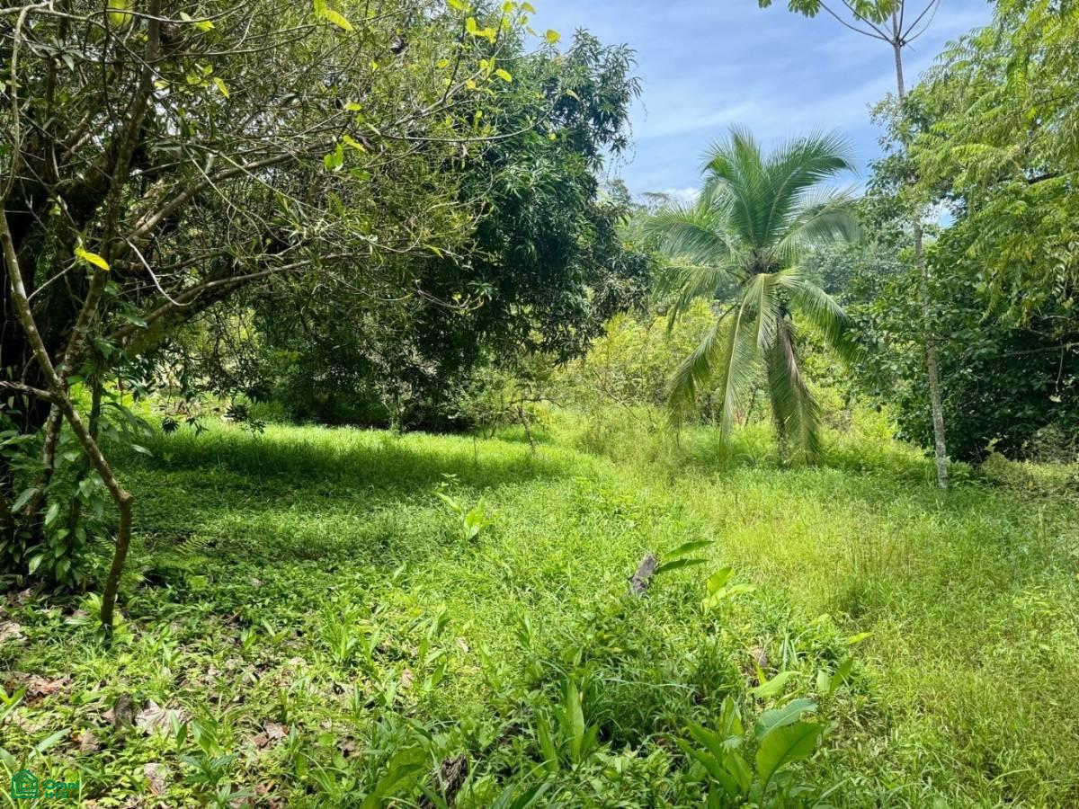 0 bed Land For Sale in Osa, Puntarenas - 1