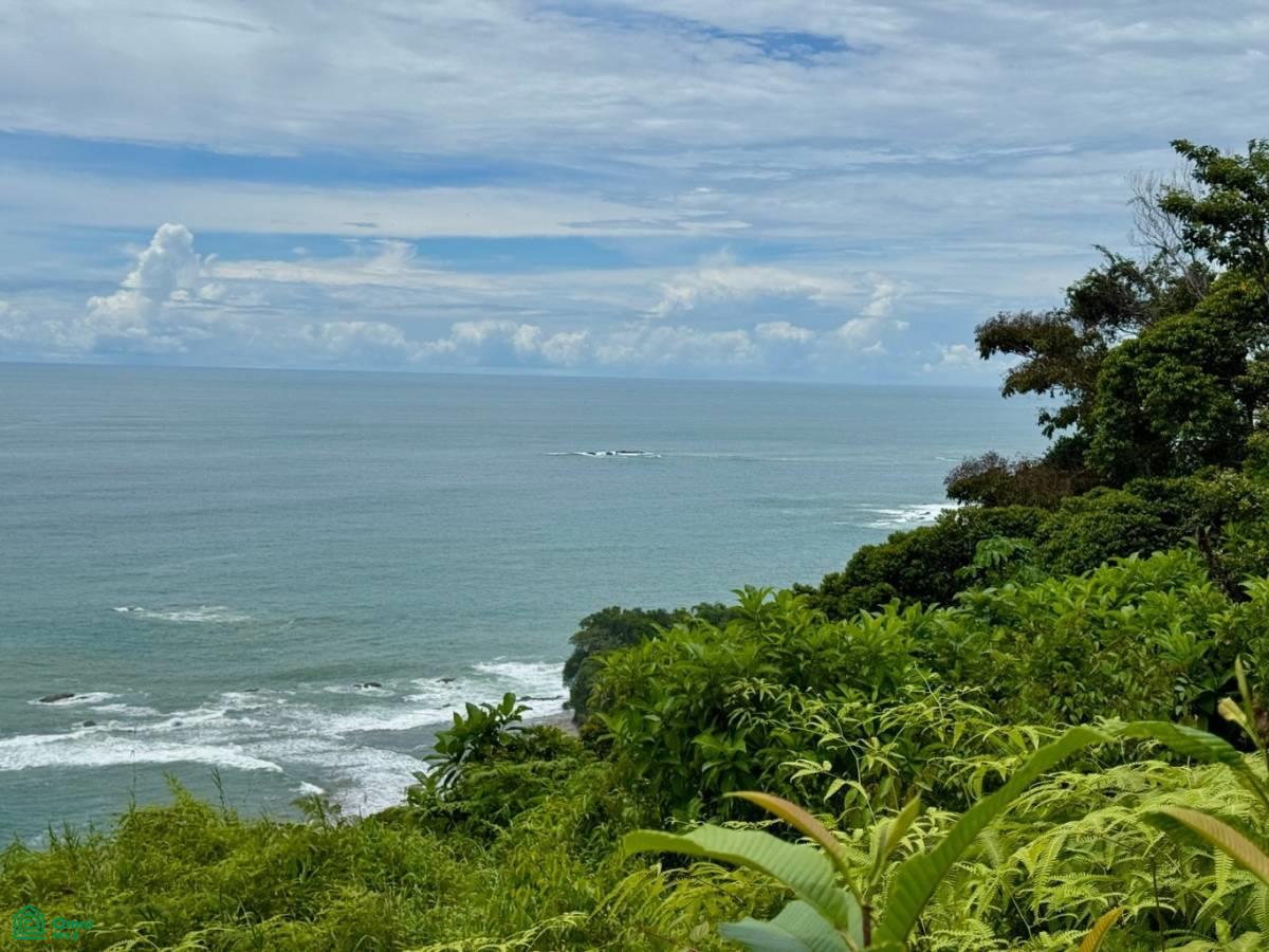 0 bed Land For Sale in Osa, Puntarenas - 1