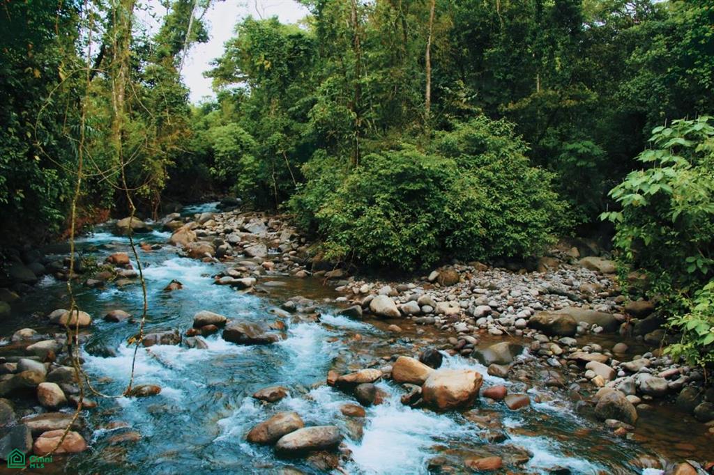 0 bed Land For Sale in Aguas Zarcas, Alajuela - 1