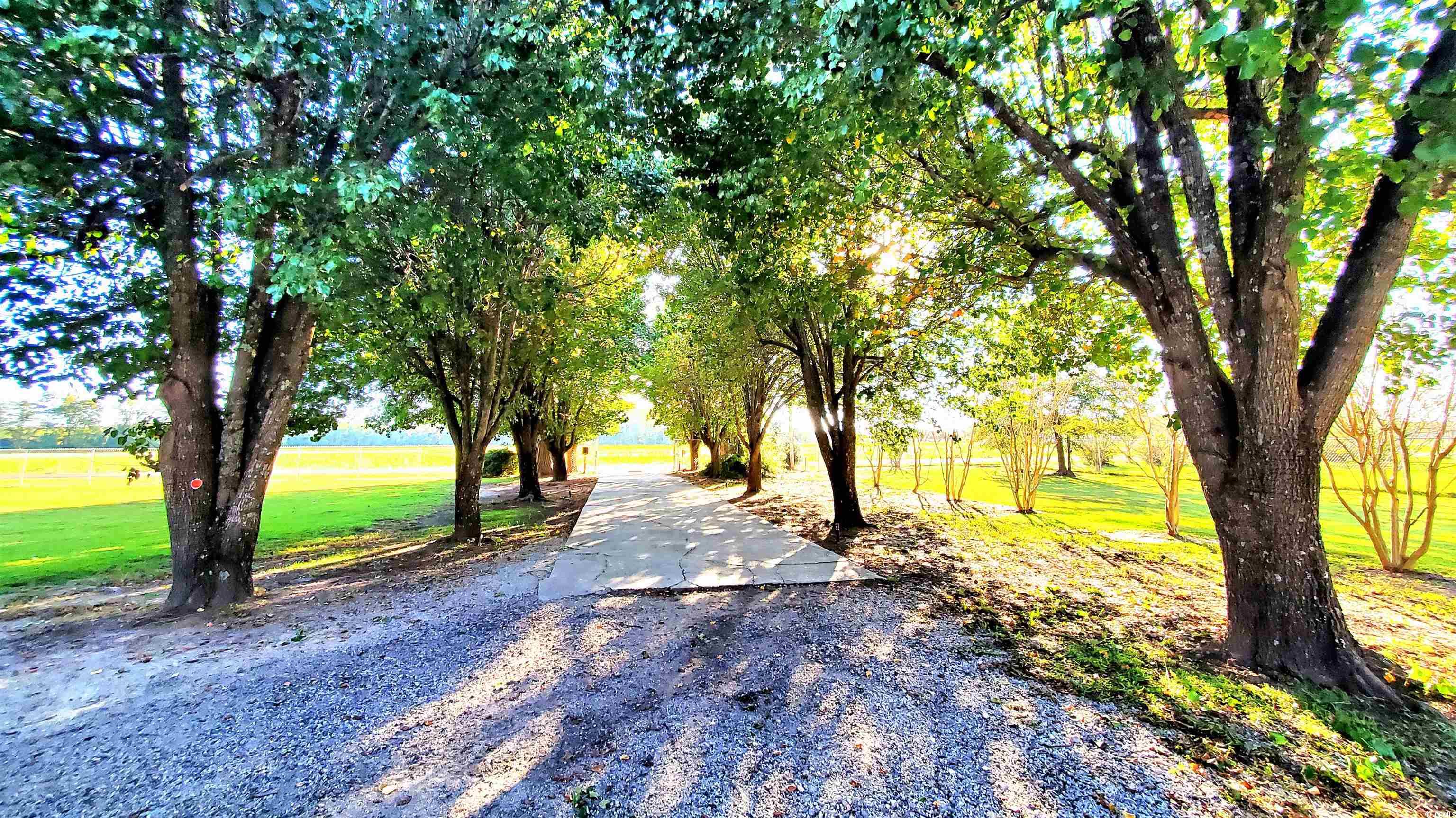 2525485 | Photo 39