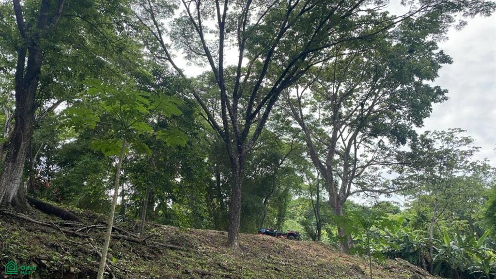 0 bed Land For Sale in Puntarenas, Puntarenas - 1