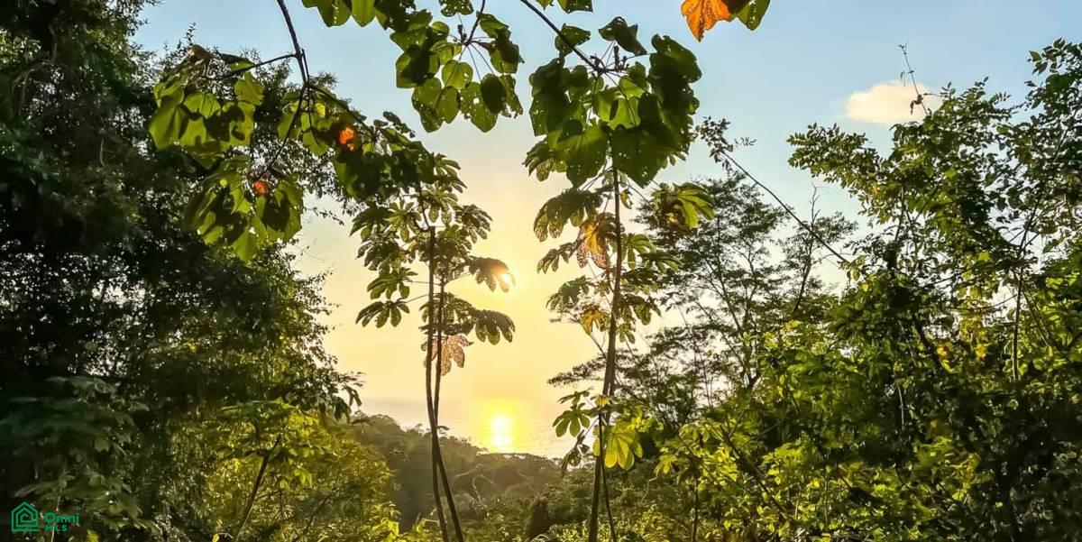 0 bed Land For Sale in Puntarenas, Puntarenas - 1