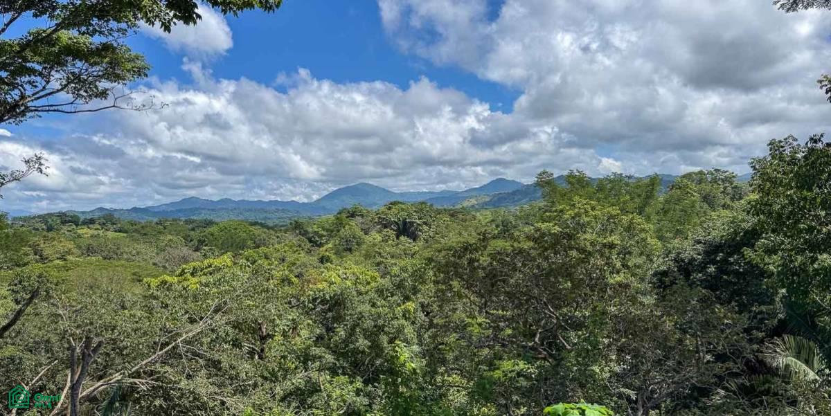 0 bed Land For Sale in Puntarenas, Puntarenas - 1