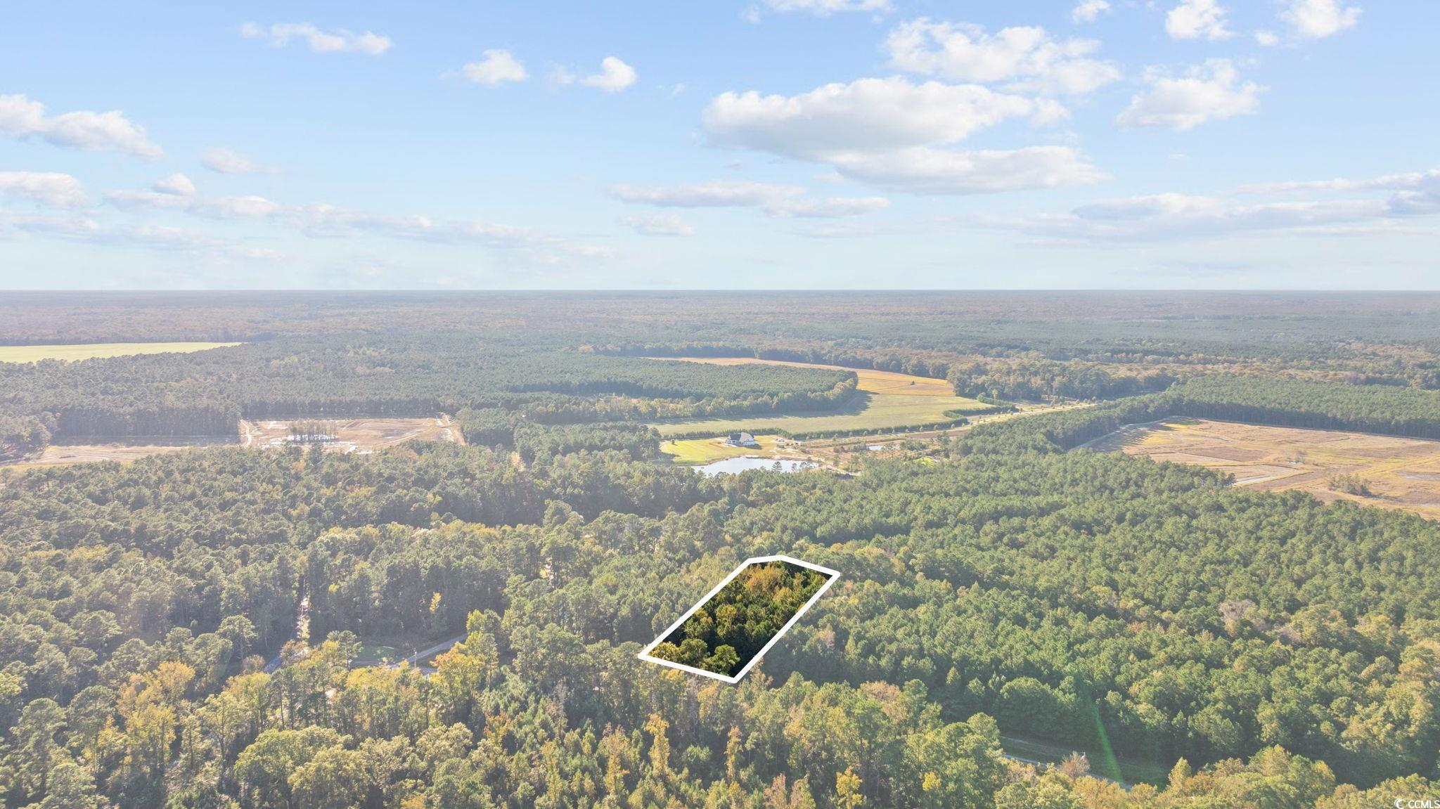 TBD Mahalia Dr. Conway, SC 29527