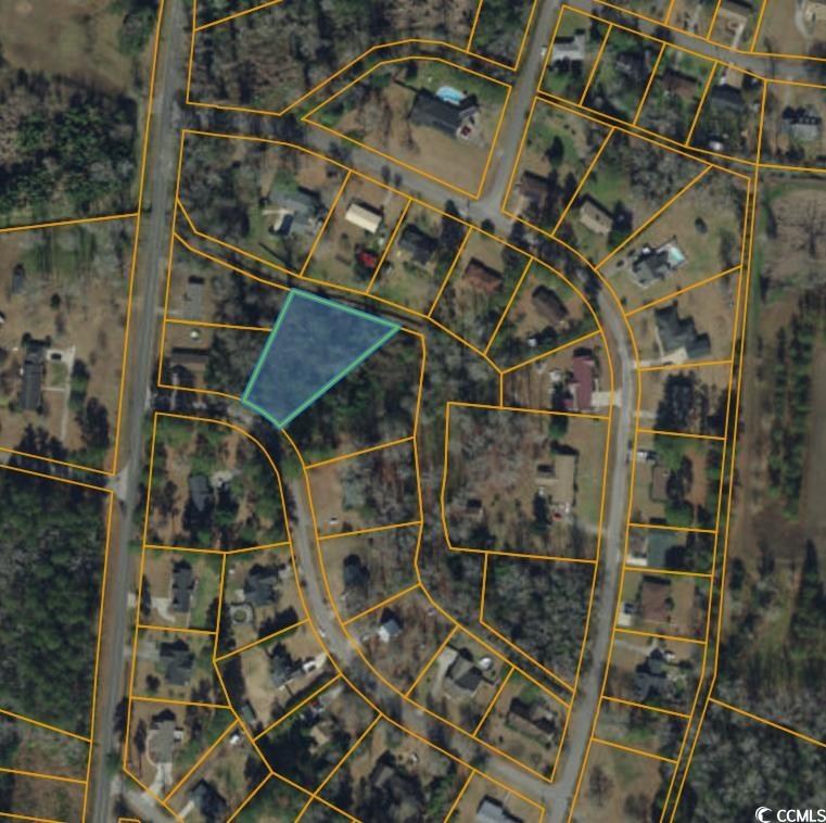 TBD Left Meadow St. Loris, SC 29569
