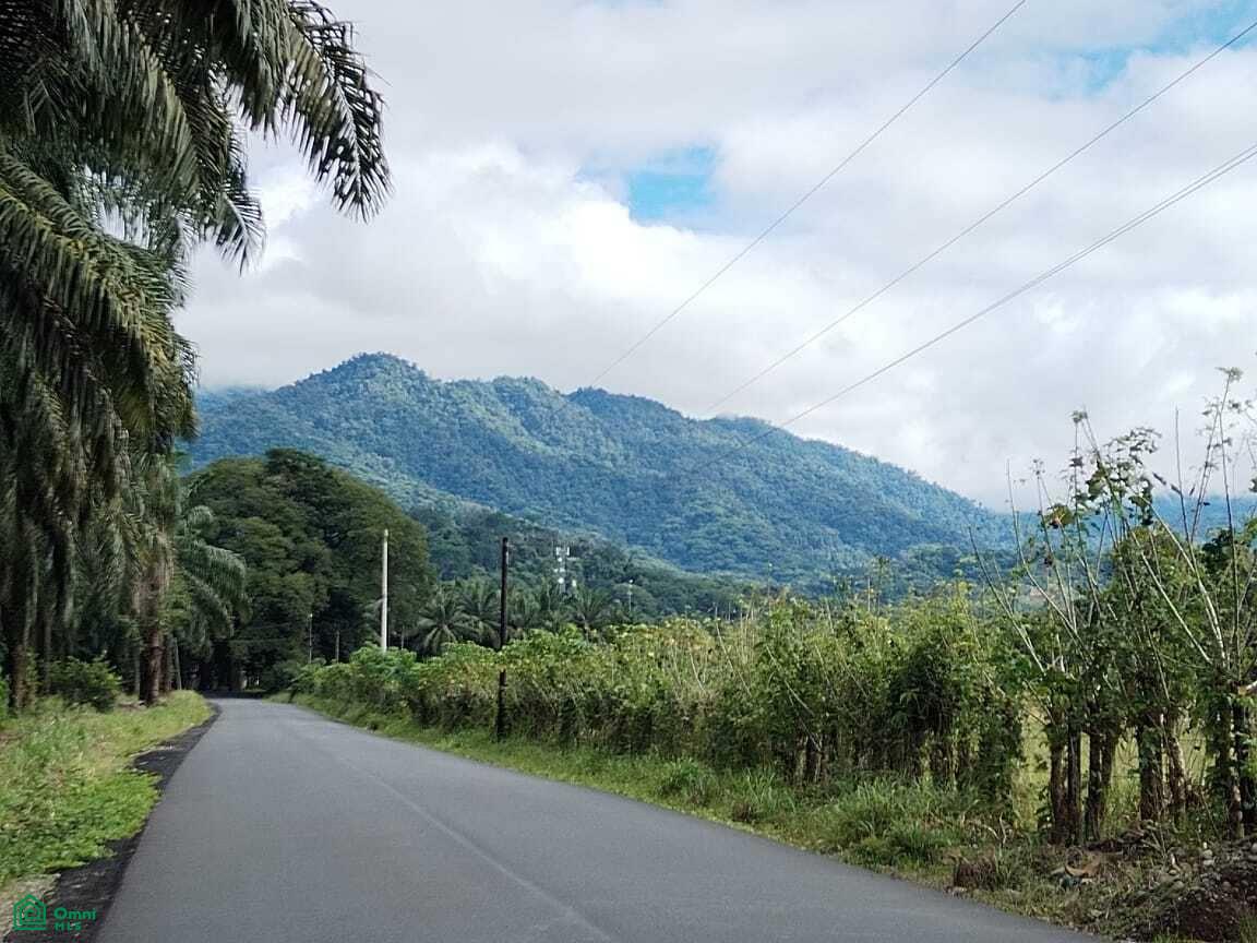 0 bed Land For Sale in Quepos, Puntarenas - 1
