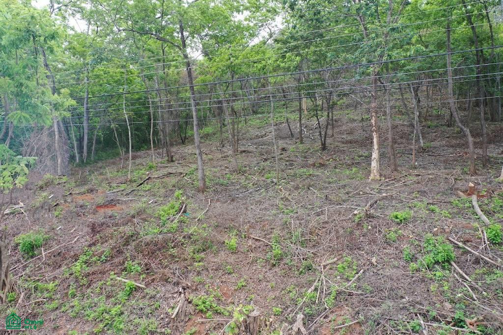 0 bed Land For Sale in Santa Cruz, Guanacaste - 1