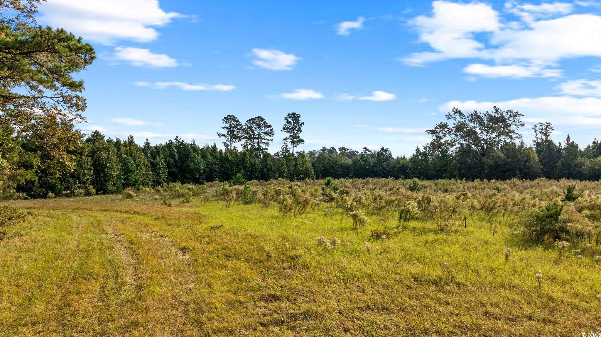 Photo 4 of Land at Tbd Old Reaves Fry Rd, Conway, SC 29526 | MLS# 2526376 |  | Sold on 2026-06-25