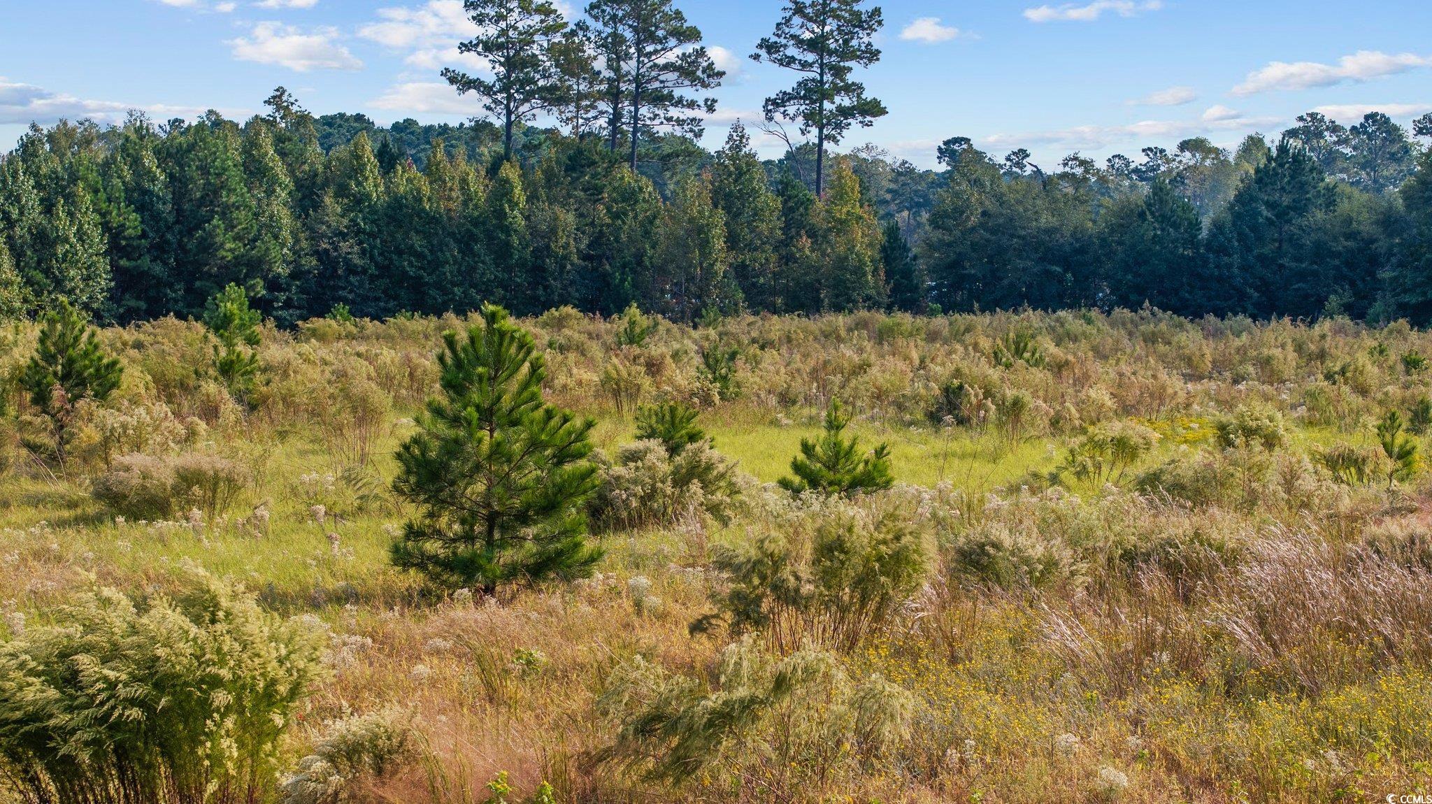 Photo 5 of Land at Tbd Old Reaves Fry Rd, Conway, SC 29526 | MLS# 2526376 |  | Sold on 2026-06-25