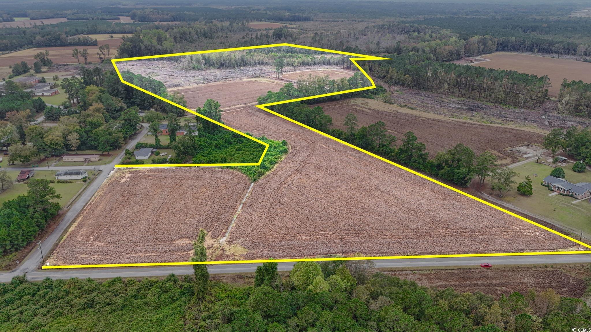 TBD Francis Gibson Rd. Centenary, SC 29519