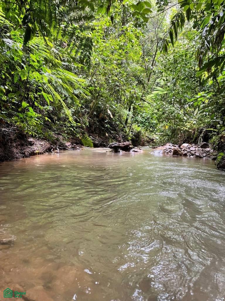 0 bed Land For Sale in Coto Brus, Puntarenas - 1