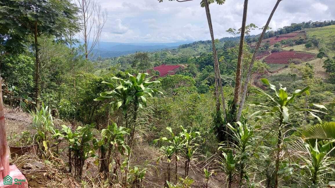 2 bed Single Family Homes For Sale in San Carlos, Alajuela - 1