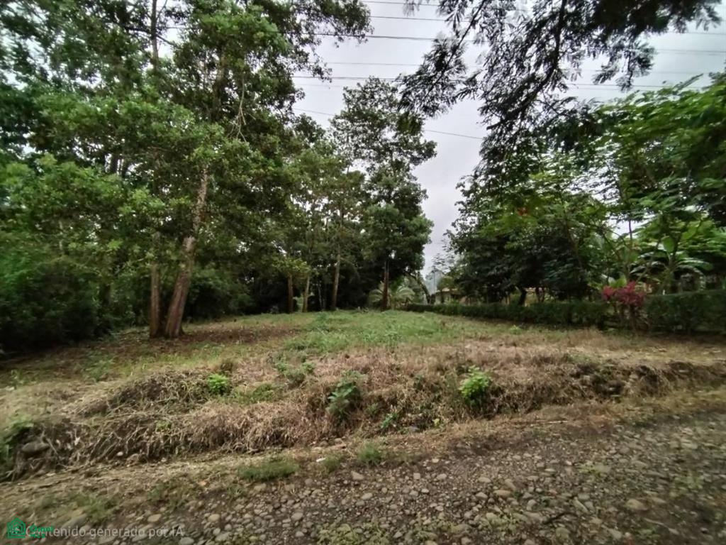 0 bed Land For Sale in San Ramón, Alajuela - 1