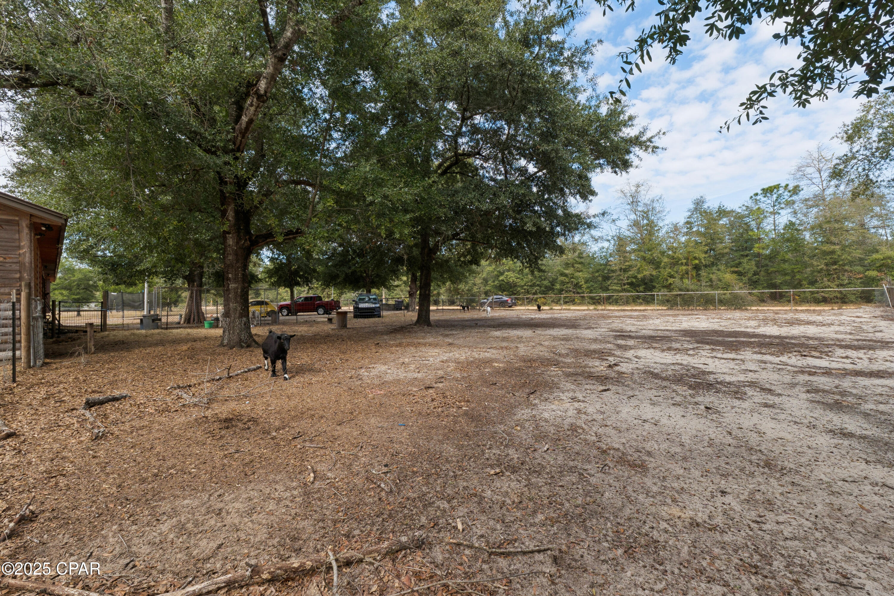 Image 13 For 13132 Timbercrest Road