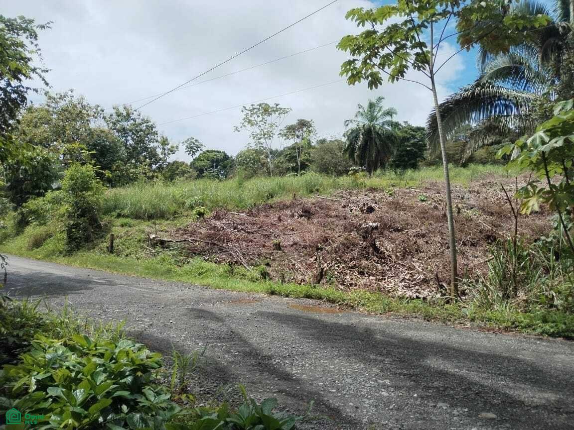 0 bed Land For Sale in Parrita, Puntarenas - 1