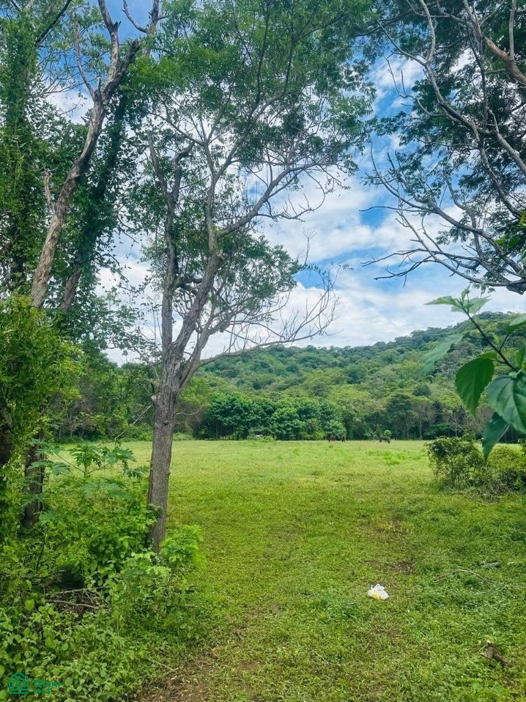 0 bed Land For Sale in Santa Cruz, Guanacaste - 1
